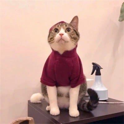 ธนวัฒน์ ซึ้งจิตถาวร avatar